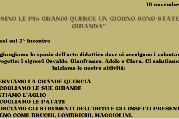 incontro n° 2