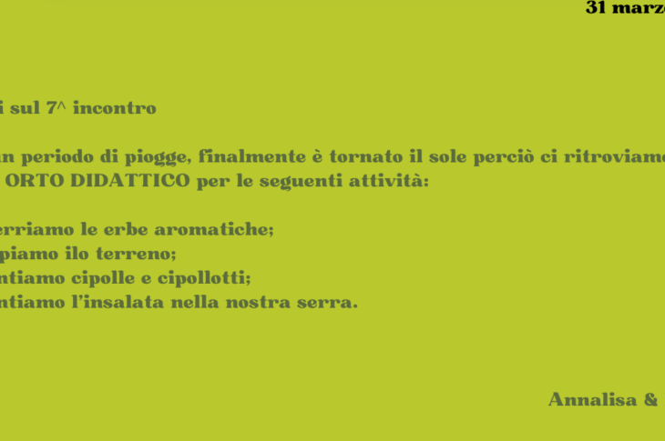 incontro n° 7